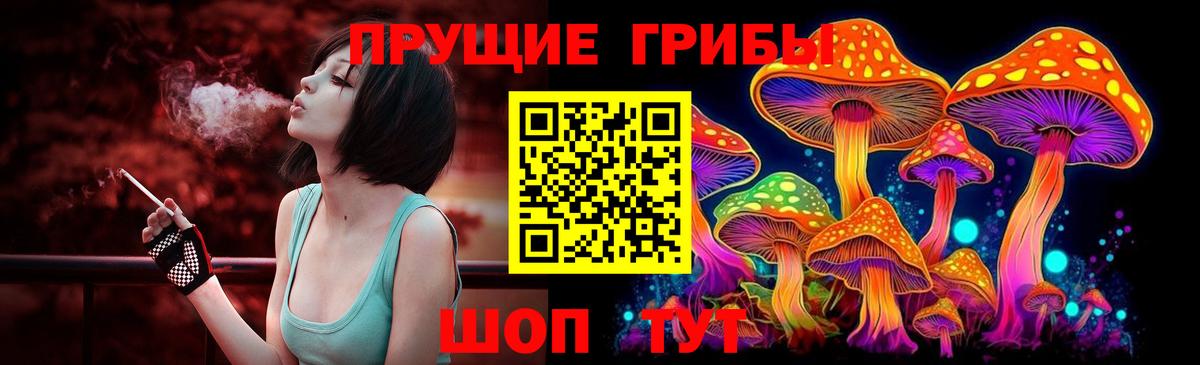 Нарьян-Мар  Псилоцибиновые грибы Psilocybine cubensis  Вход с VPN  Псилоцибиновые грибы GOLDEN TEACHER 